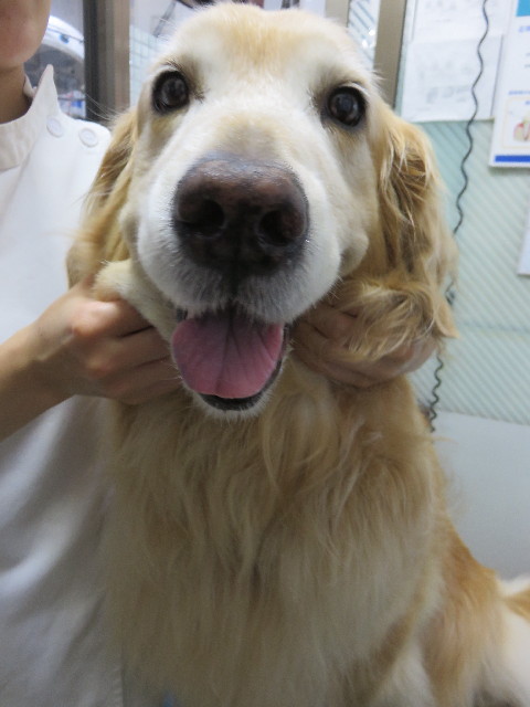 ファイル 4490-1.jpg