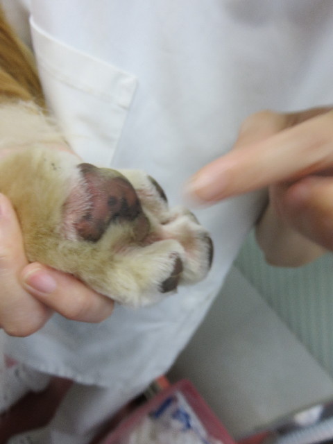 ファイル 4490-3.jpg