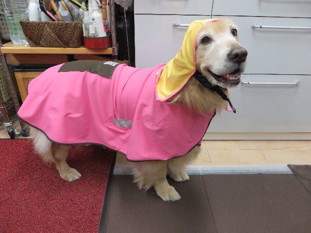 ファイル 4491-3.jpg