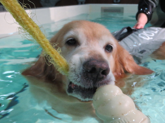 ファイル 4491-4.jpg