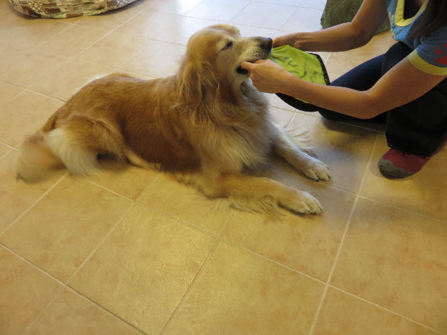 ファイル 4492-4.jpg