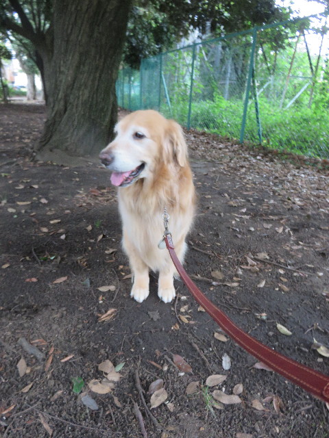 ファイル 4494-1.jpg