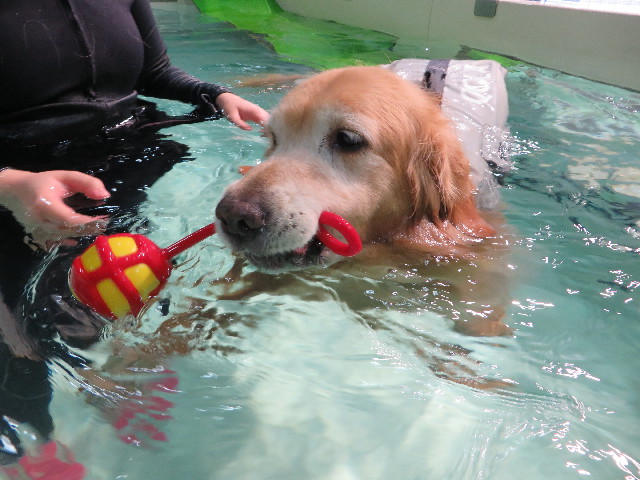 ファイル 4494-3.jpg