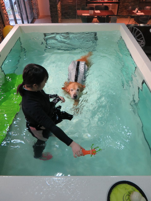 ファイル 4494-4.jpg