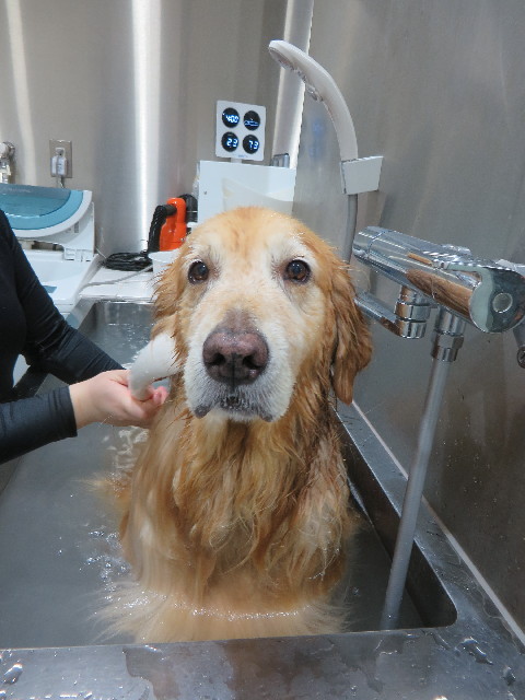 ファイル 4494-5.jpg