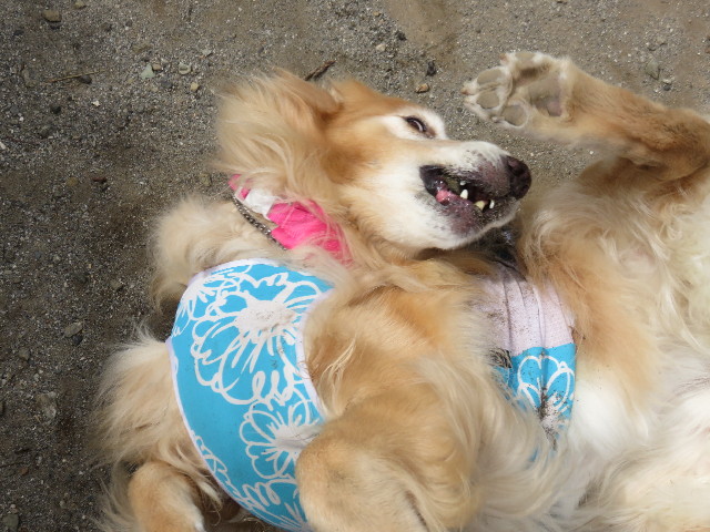 ファイル 4496-2.jpg