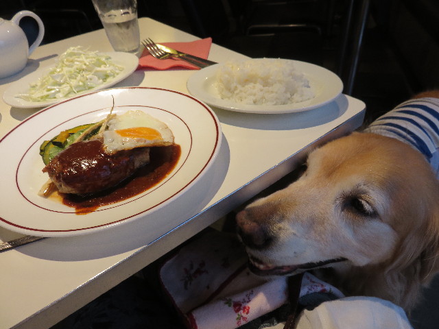 ファイル 4497-4.jpg