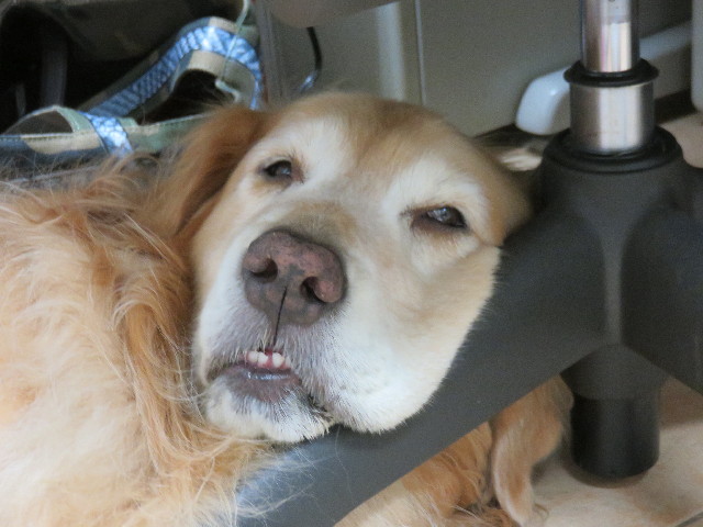 ファイル 4498-3.jpg