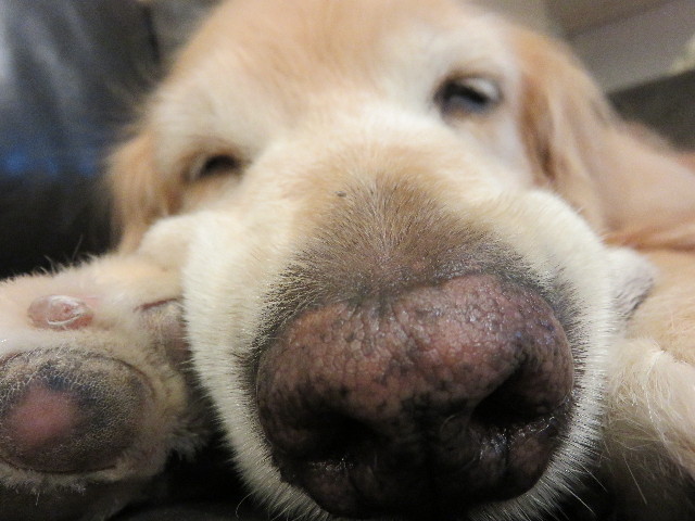 ファイル 4498-4.jpg