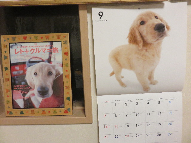 ファイル 4498-5.jpg