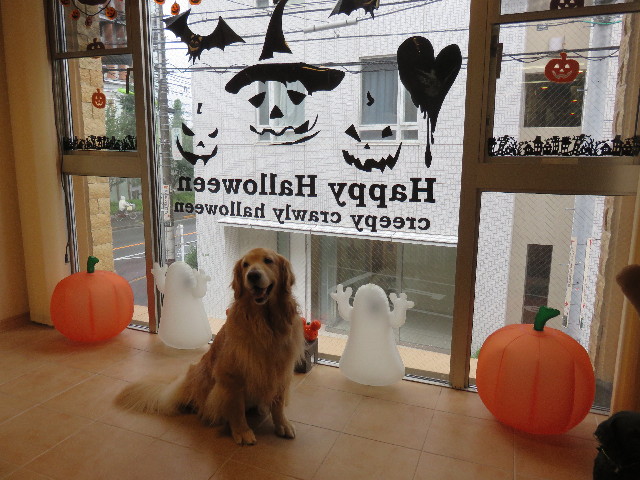 ファイル 4499-2.jpg