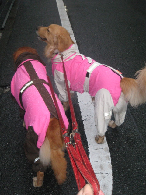 ファイル 450-1.jpg