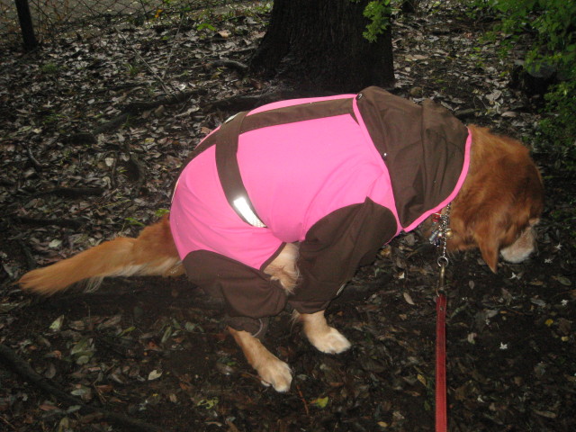 ファイル 450-3.jpg