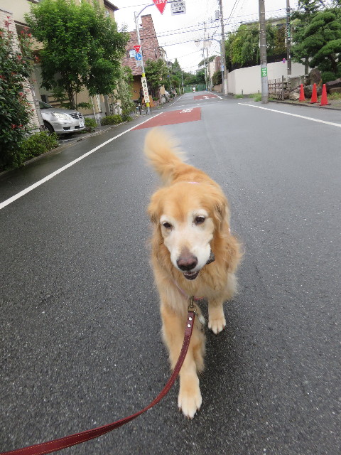 ファイル 4500-1.jpg