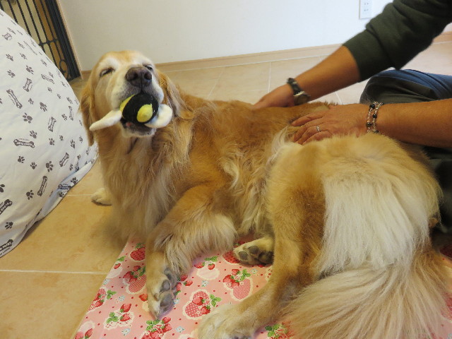 ファイル 4500-4.jpg