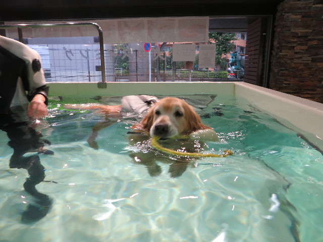 ファイル 4501-3.jpg