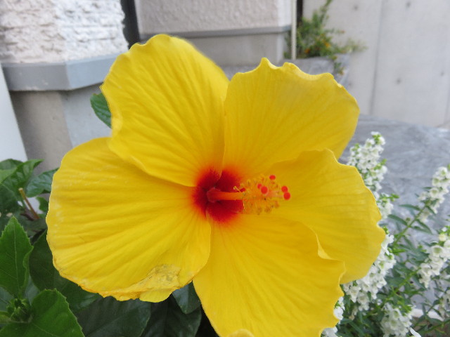 ファイル 4502-2.jpg