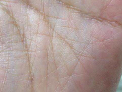 ファイル 4504-5.jpg