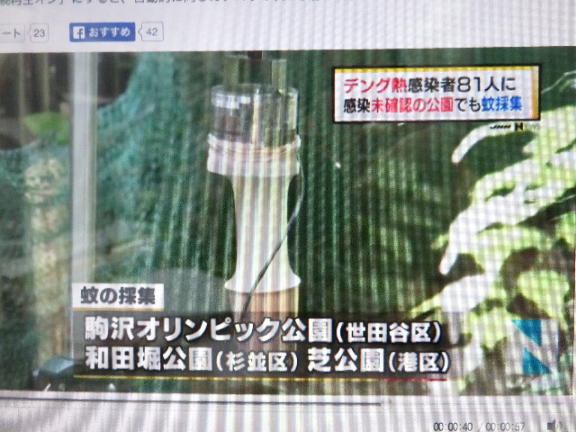 ファイル 4505-2.jpg