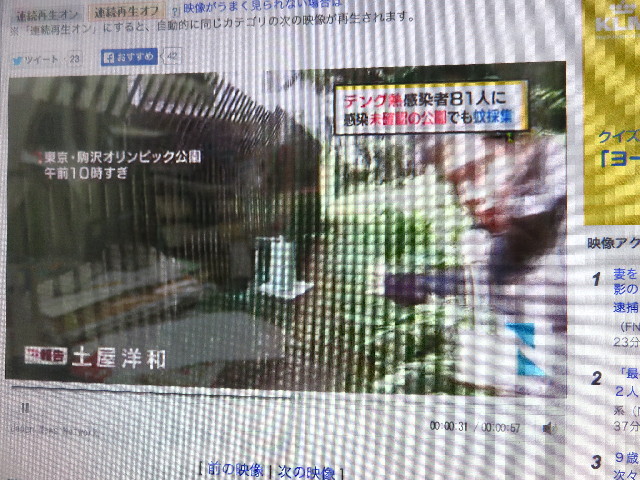 ファイル 4505-3.jpg