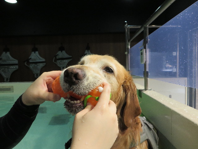 ファイル 4506-2.jpg