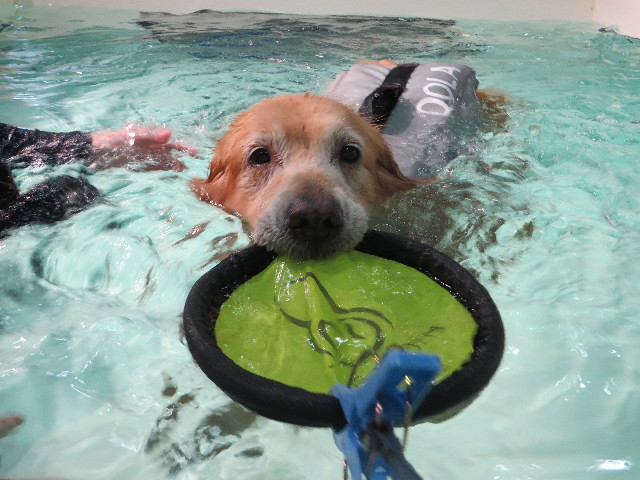 ファイル 4506-3.jpg