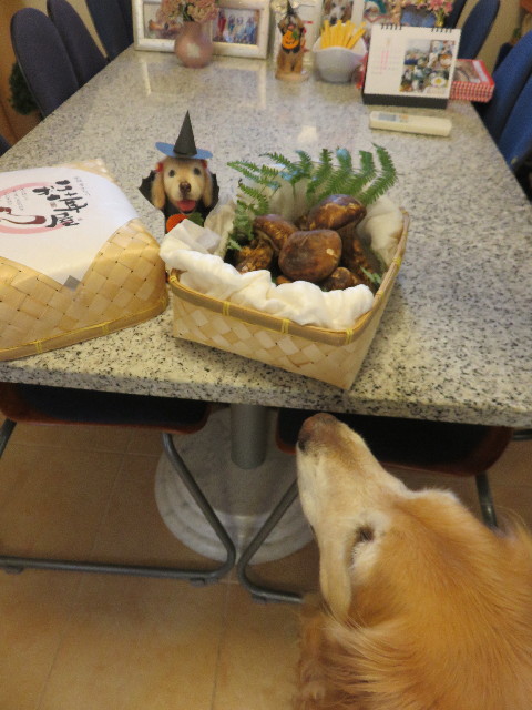 ファイル 4507-2.jpg