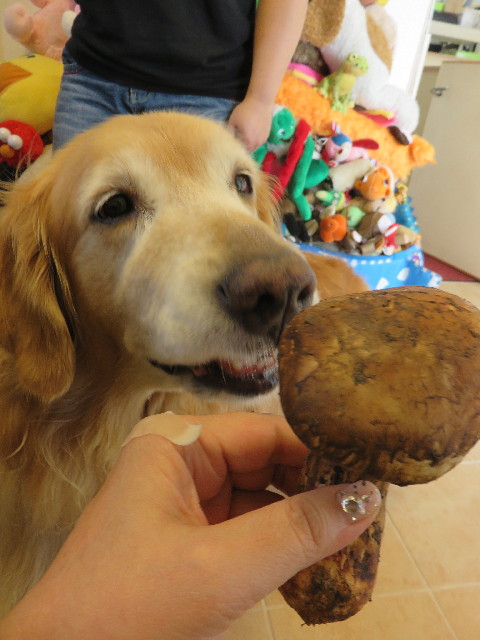 ファイル 4507-3.jpg