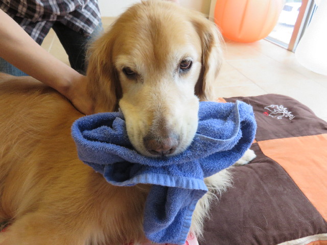 ファイル 4507-5.jpg