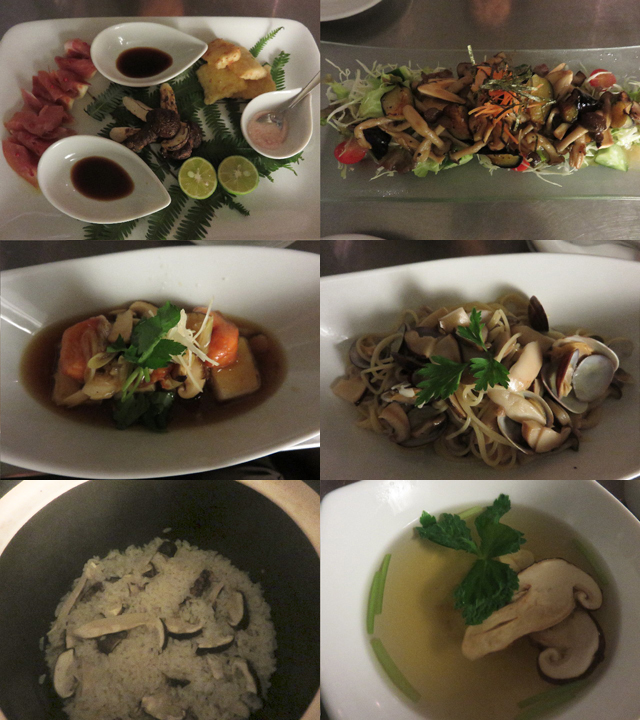 ファイル 4508-2.jpg