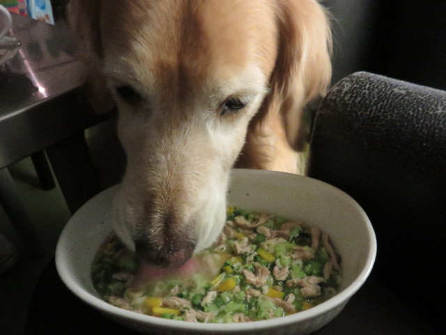 ファイル 4508-5.jpg