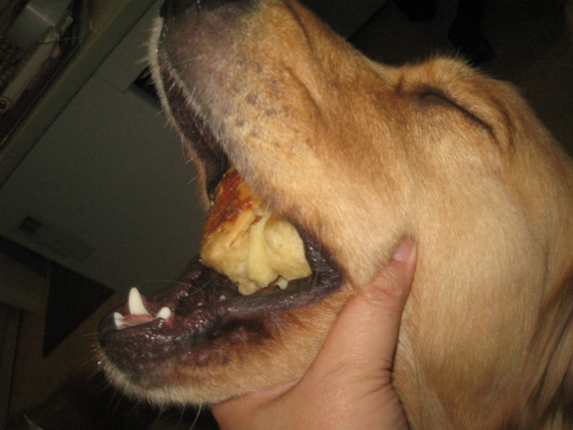 ファイル 451-2.jpg