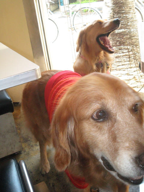 ファイル 451-3.jpg