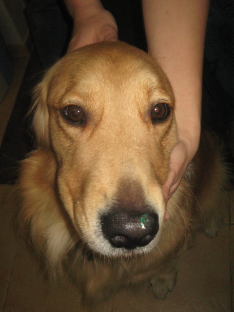 ファイル 451-4.jpg