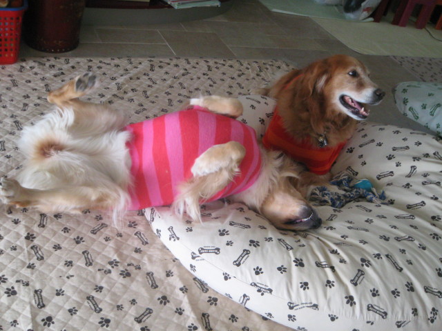 ファイル 451-5.jpg