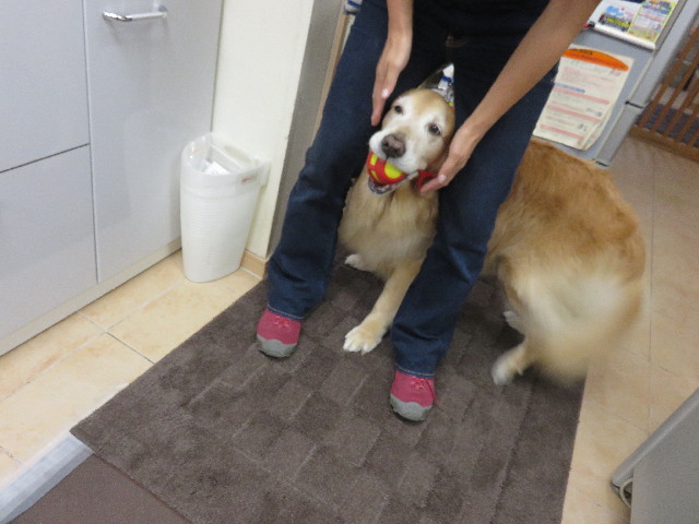 ファイル 4510-4.jpg