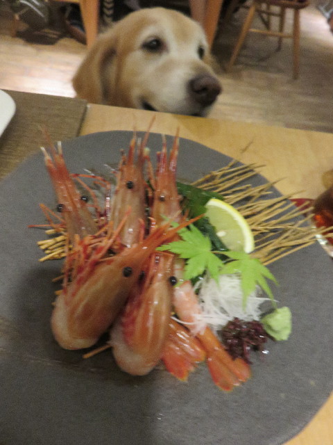 ファイル 4511-3.jpg