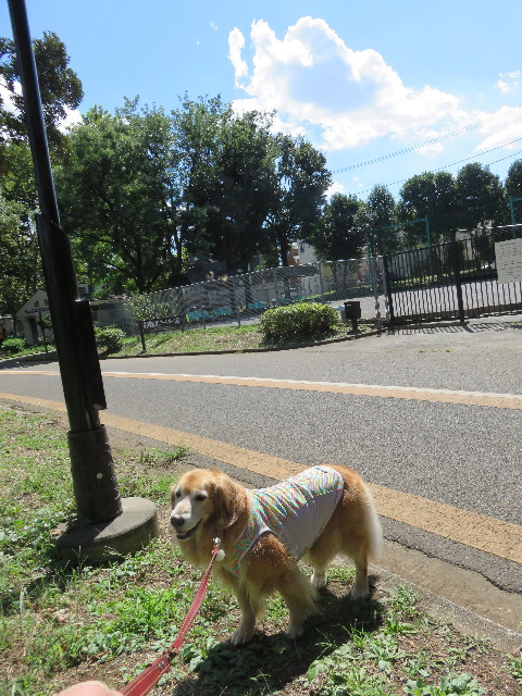 ファイル 4512-1.jpg