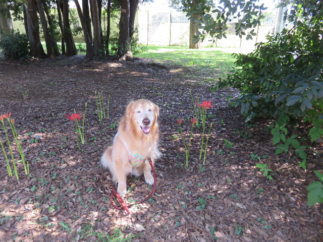 ファイル 4512-3.jpg