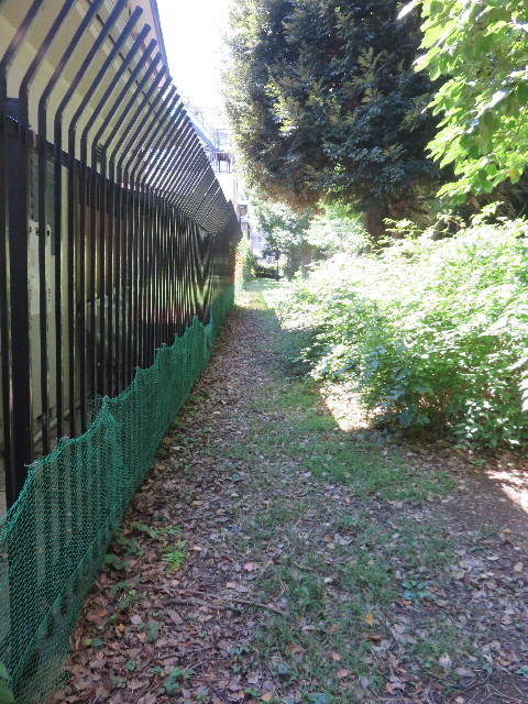 ファイル 4513-1.jpg