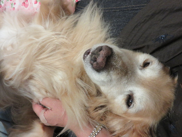 ファイル 4513-5.jpg