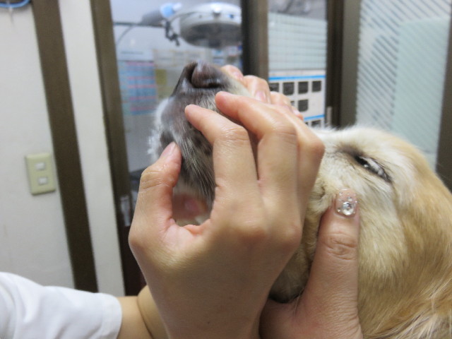 ファイル 4514-3.jpg