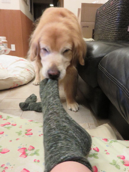 ファイル 4515-3.jpg