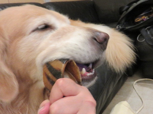 ファイル 4515-5.jpg