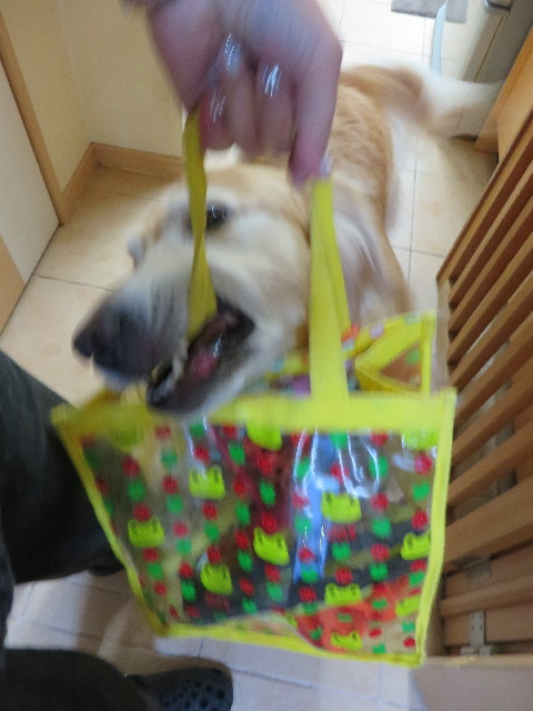 ファイル 4516-1.jpg