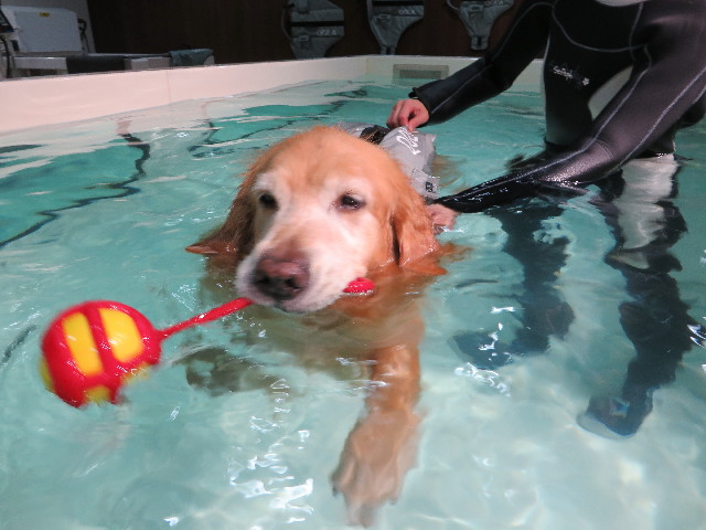 ファイル 4516-2.jpg