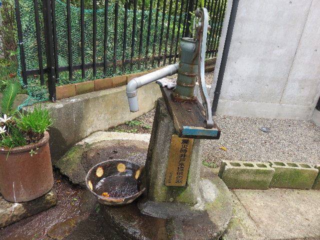 ファイル 4517-1.jpg