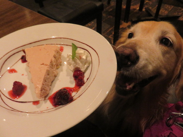 ファイル 4517-5.jpg