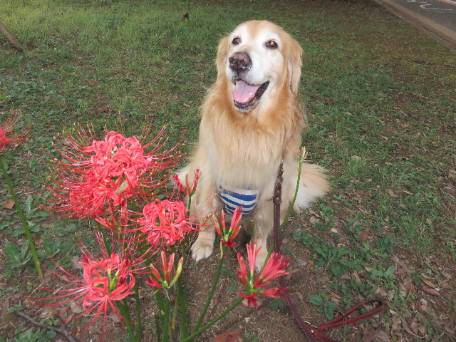 ファイル 4518-3.jpg