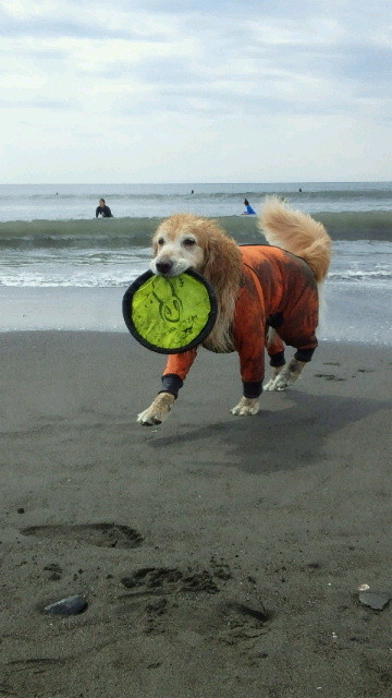 ファイル 4519-1.jpg